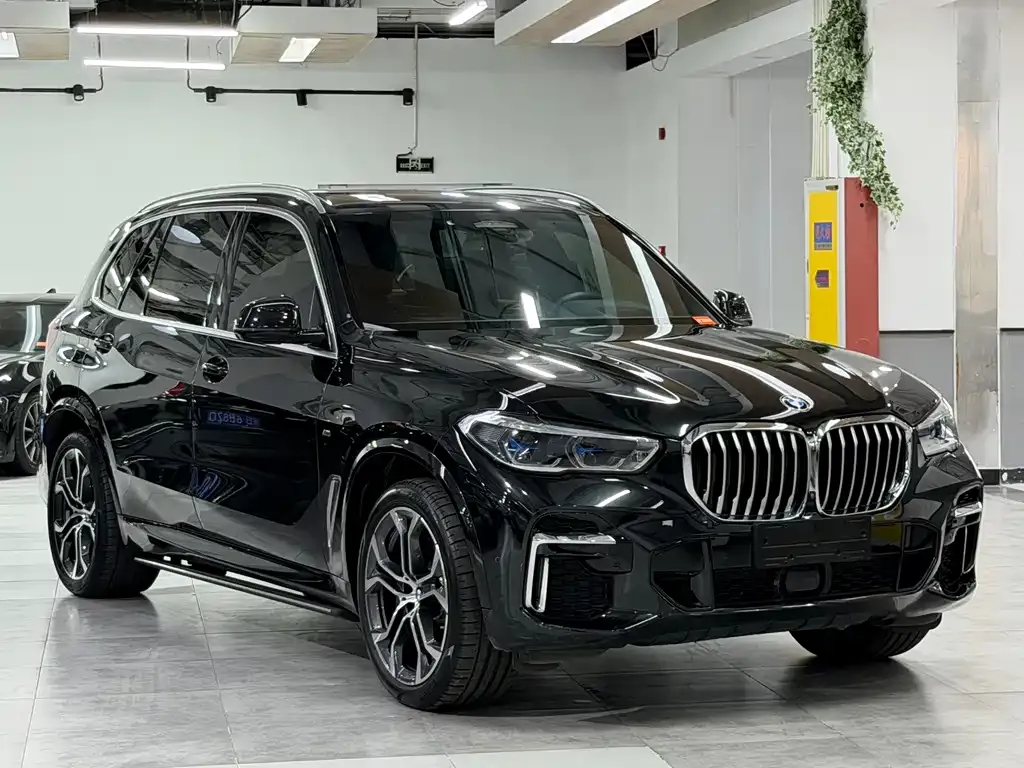 BMW X5 — фото 9