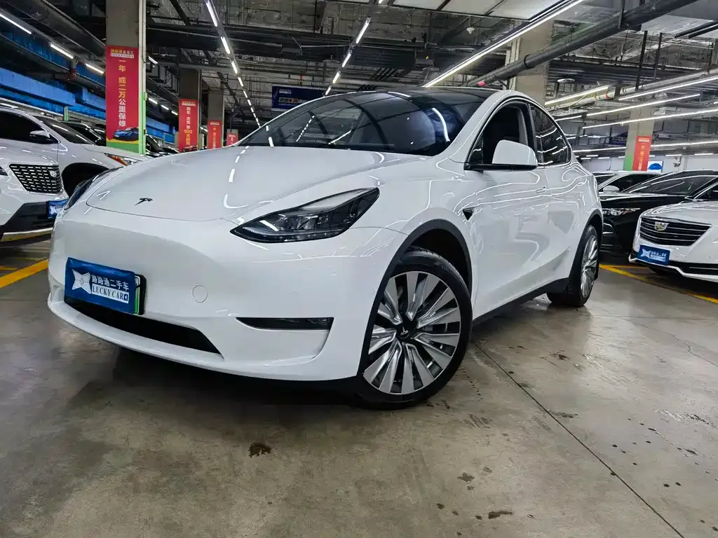 Tesla Model Y — фото 1
