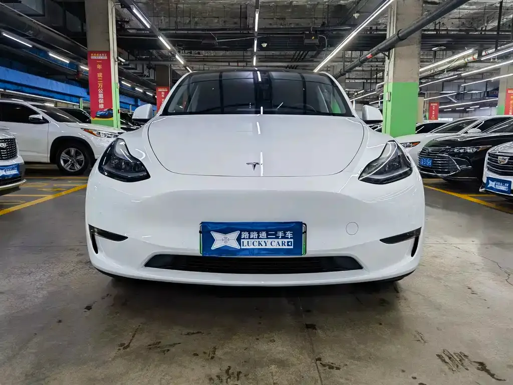Tesla Model Y — фото 10