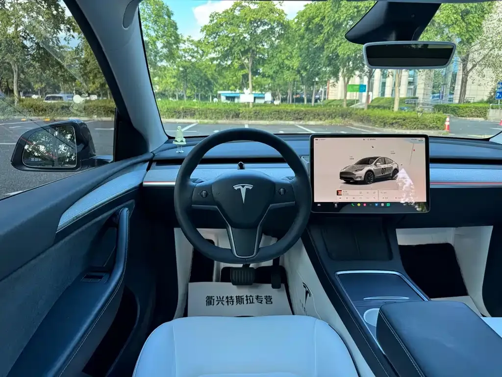 Tesla Model Y — фото 8