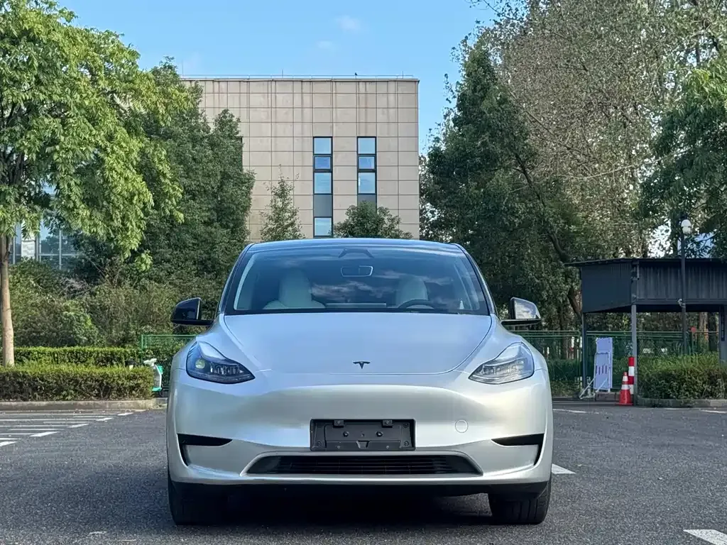 Tesla Model Y — фото 10