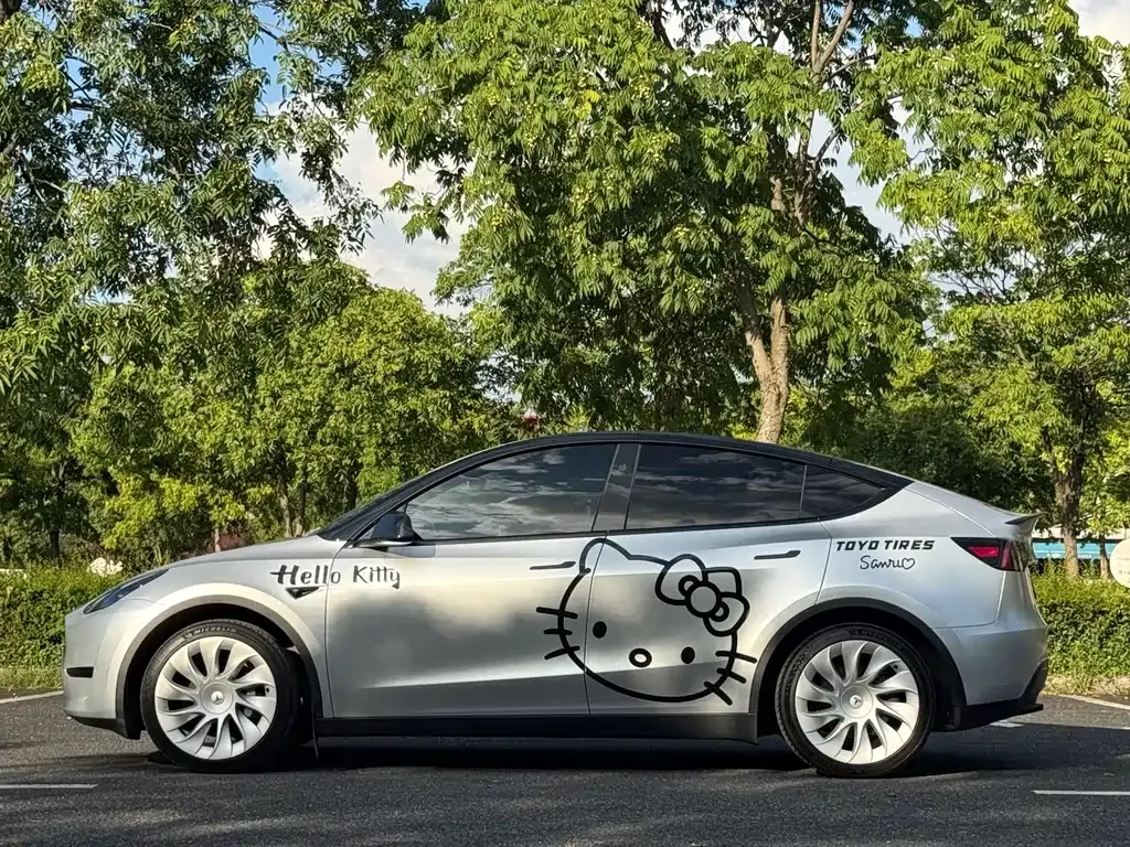 Tesla Model Y — фото 9