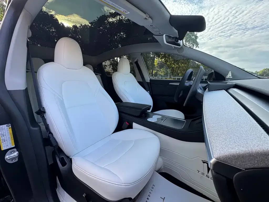 Tesla Model Y — фото 6