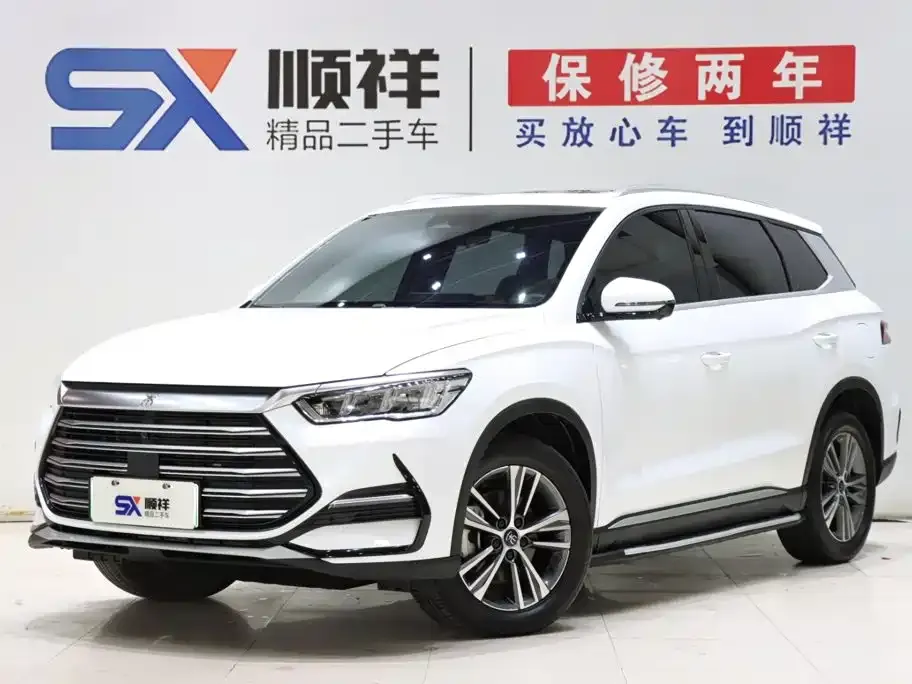 BYD Pro New Energy — фото 1