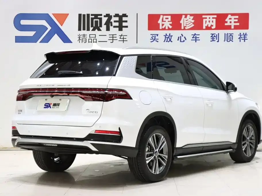 BYD Pro New Energy — фото 8