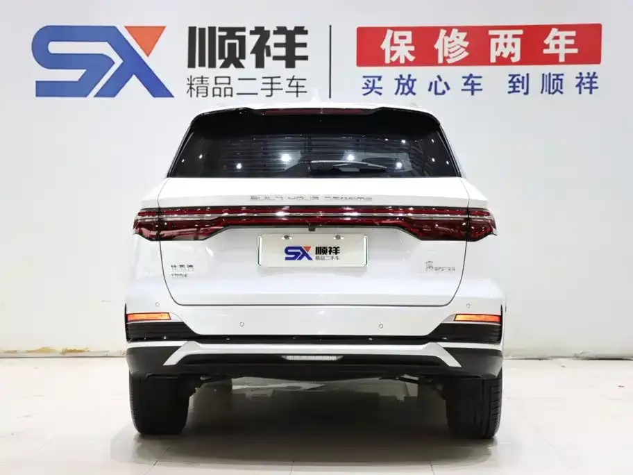 BYD Pro New Energy — фото 4