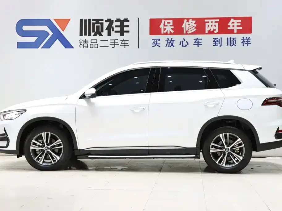 BYD Pro New Energy — фото 2