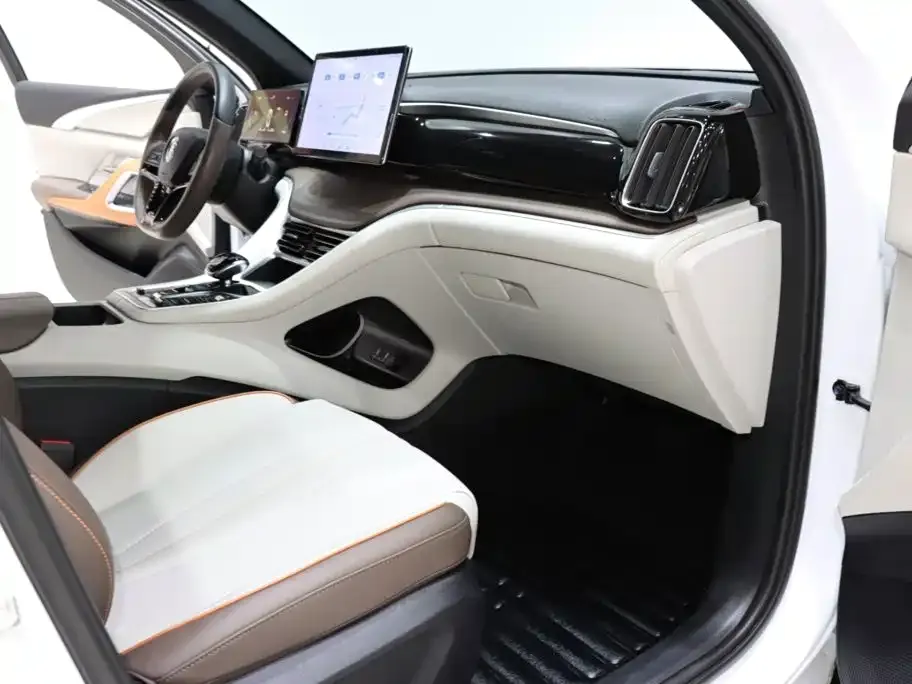 BYD Pro New Energy — фото 3