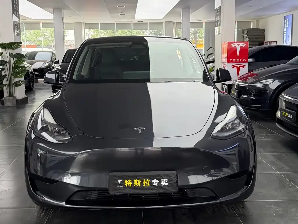 Tesla Model Y — фото 5