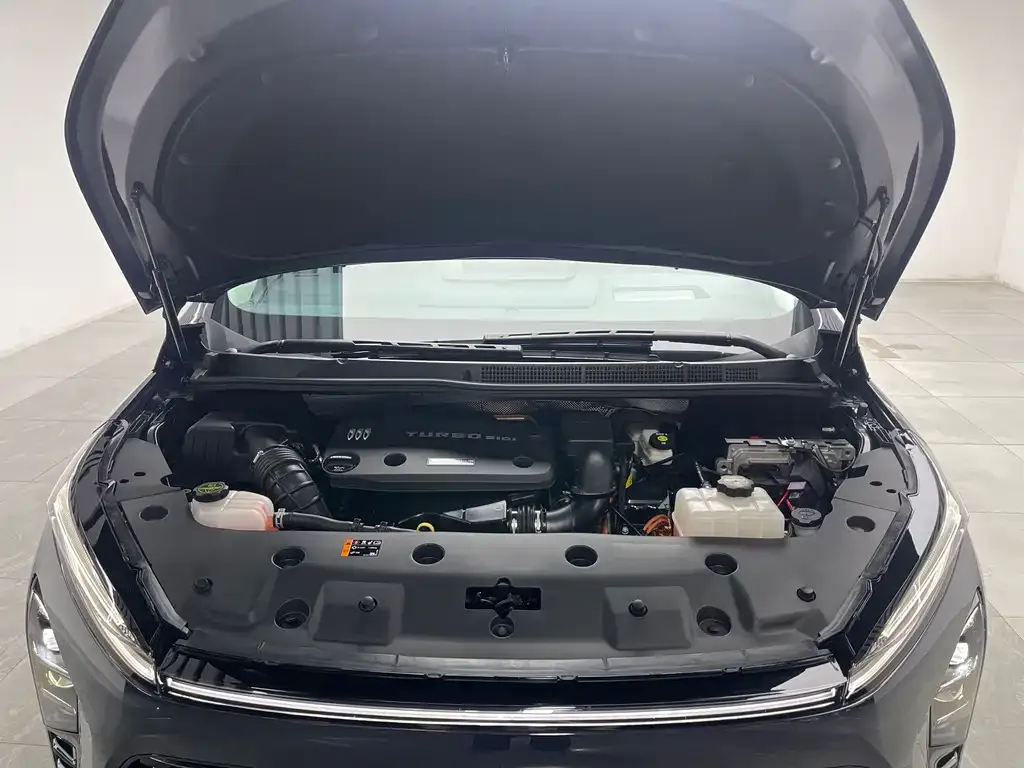 Buick GL8 Hybrid — фото 10