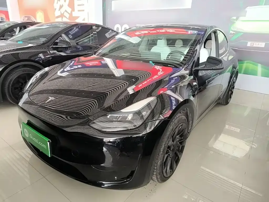 Tesla Model Y — фото 10