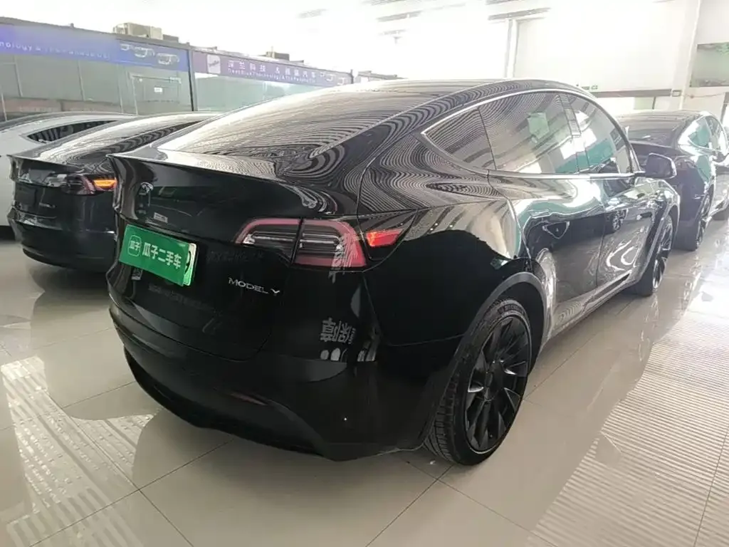 Tesla Model Y — фото 8