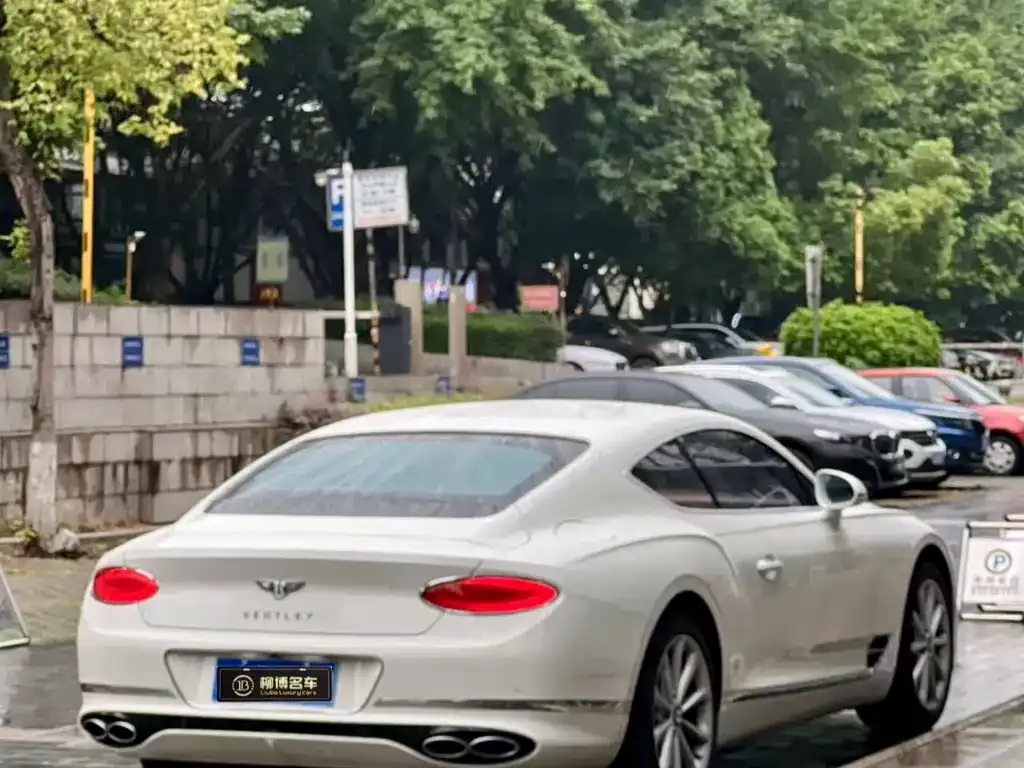 Bentley Continental — фото 8