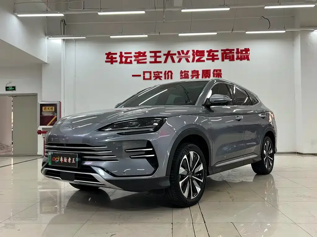 BYD PLUS New Energy — фото 1