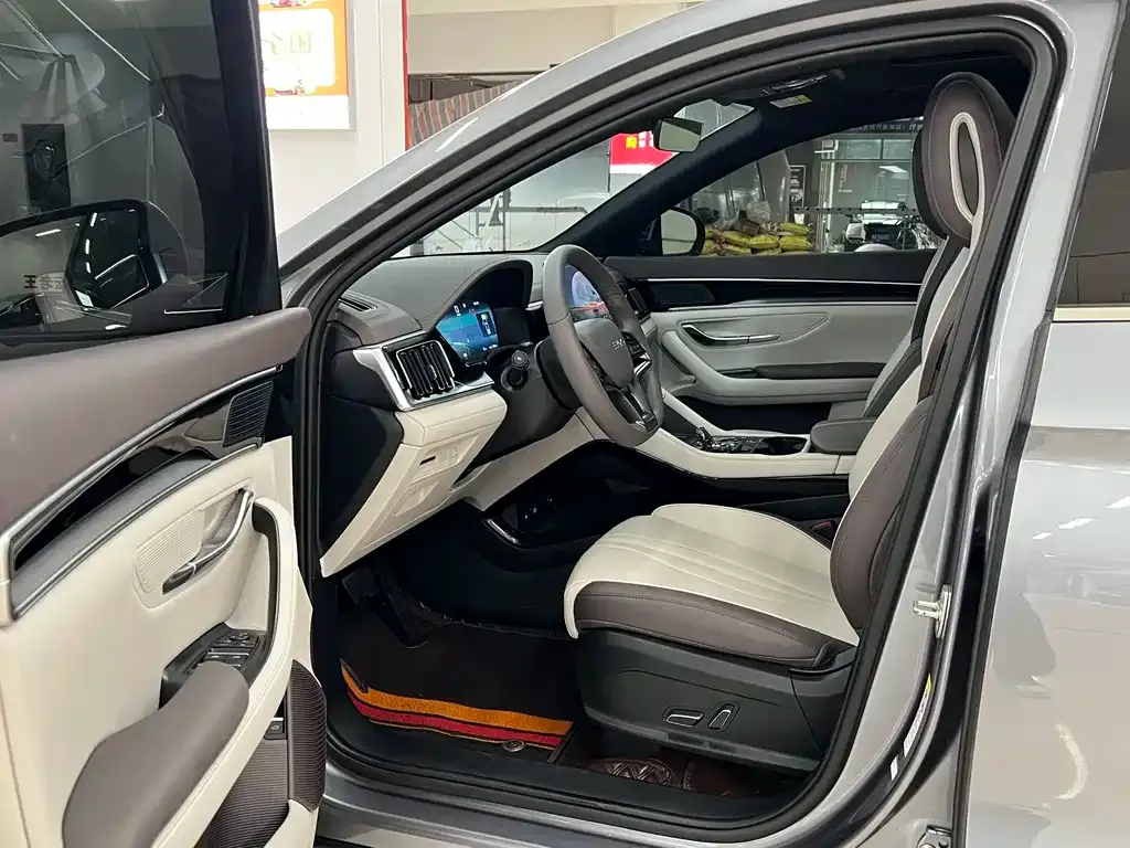 BYD PLUS New Energy — фото 5