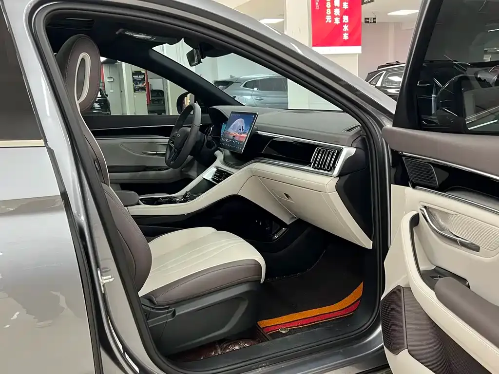 BYD PLUS New Energy — фото 7
