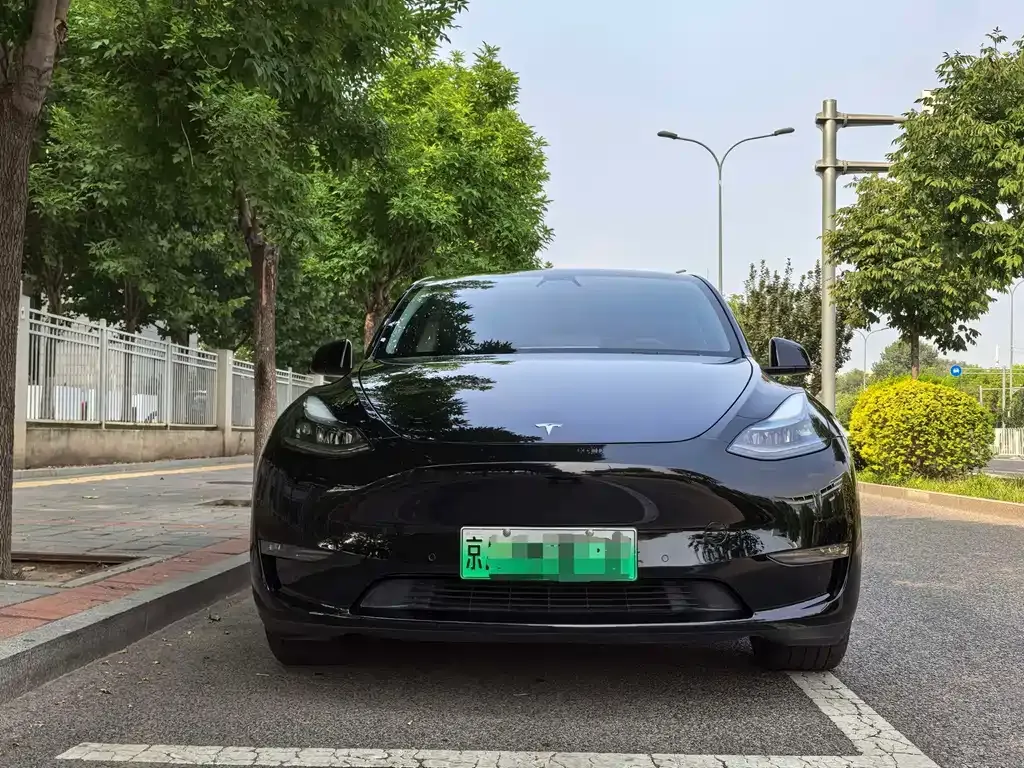 Tesla Model Y — фото 9
