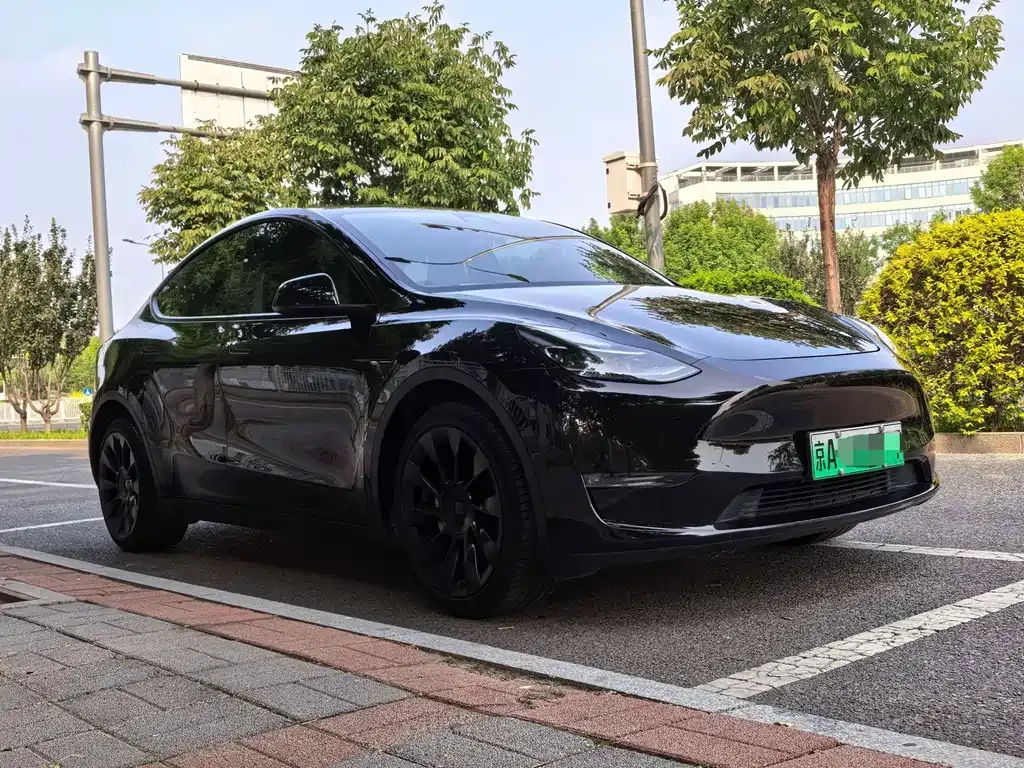 Tesla Model Y — фото 10