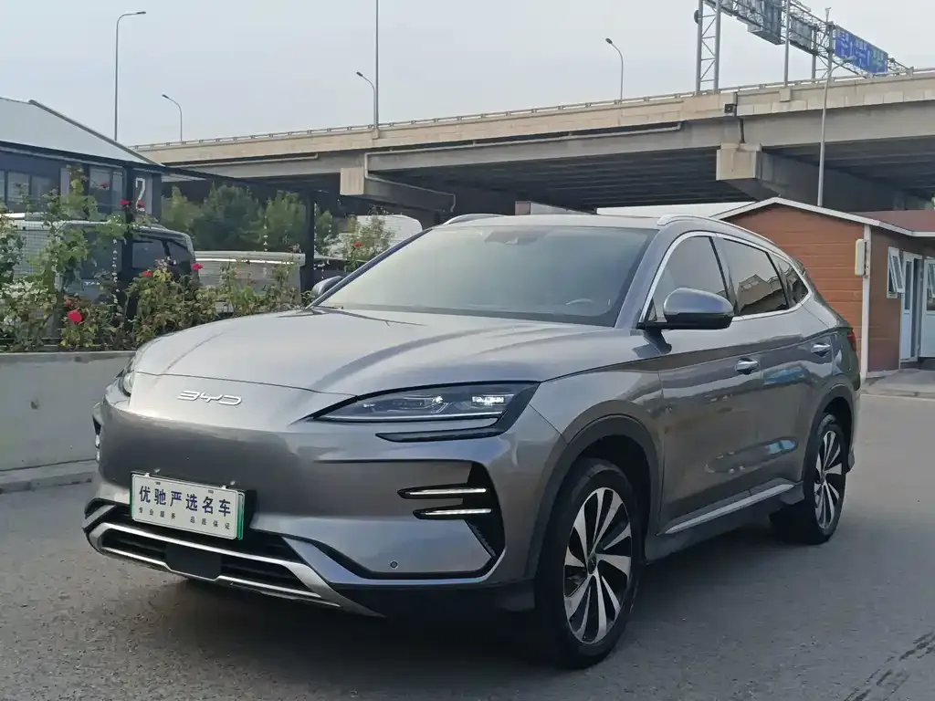 BYD PLUS New Energy — фото 1