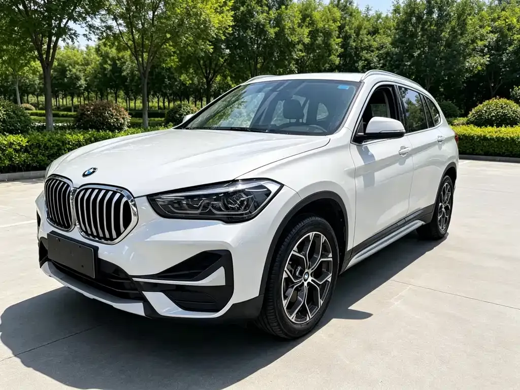 BMW X1 — фото 1