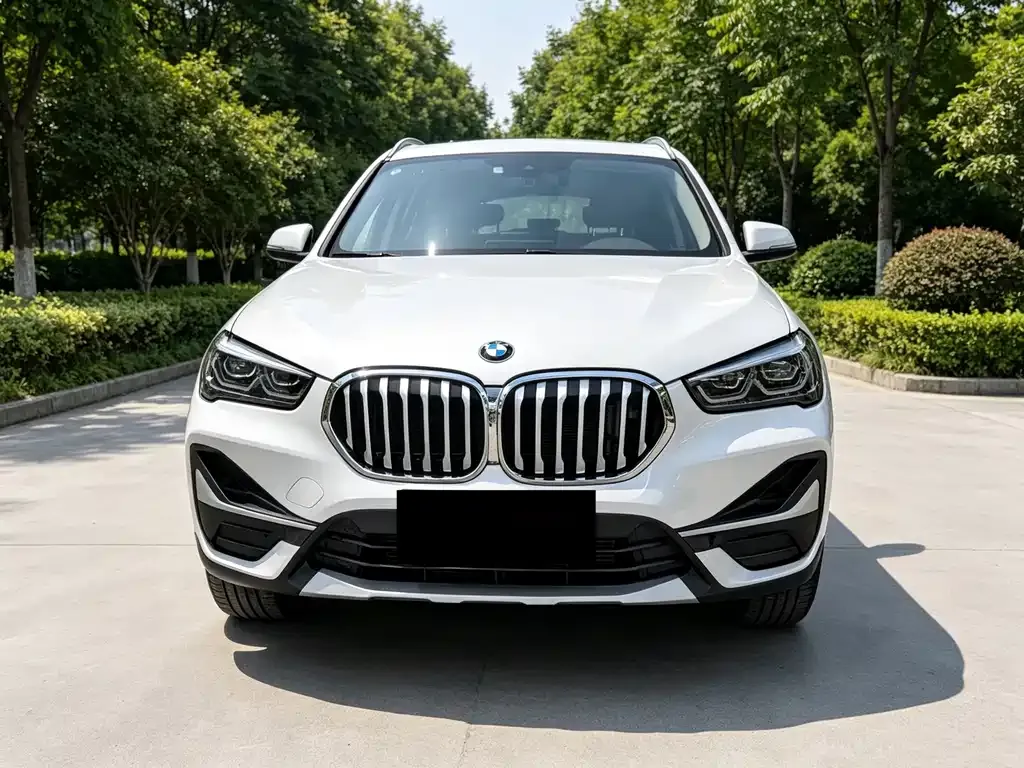 BMW X1 — фото 2