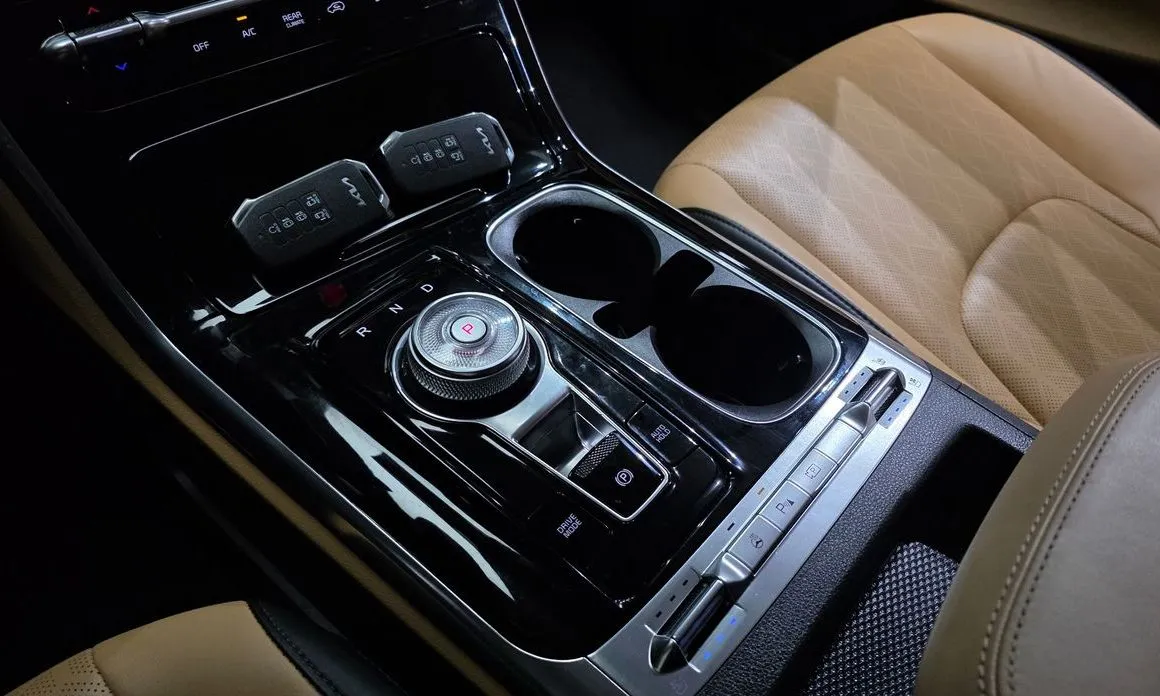 Kia Carnival — фото 10