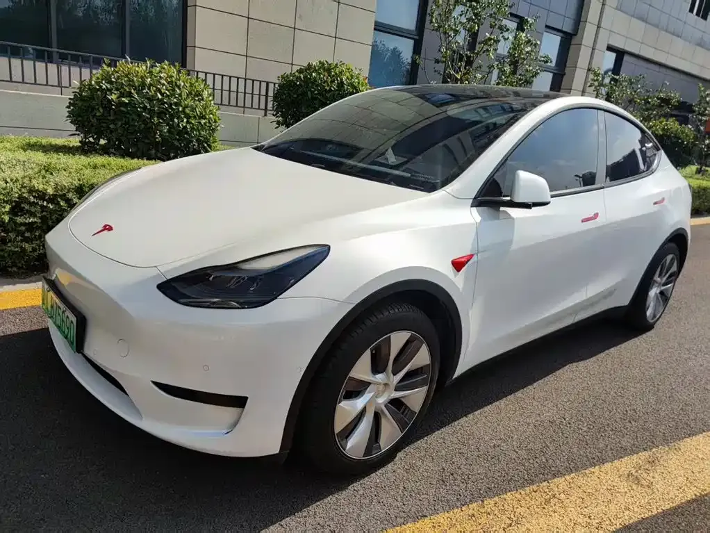 Tesla Model Y — фото 1