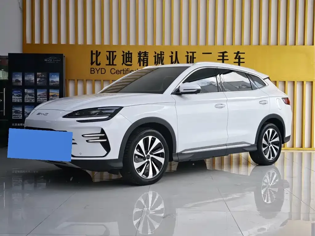 BYD PLUS New Energy — фото 1