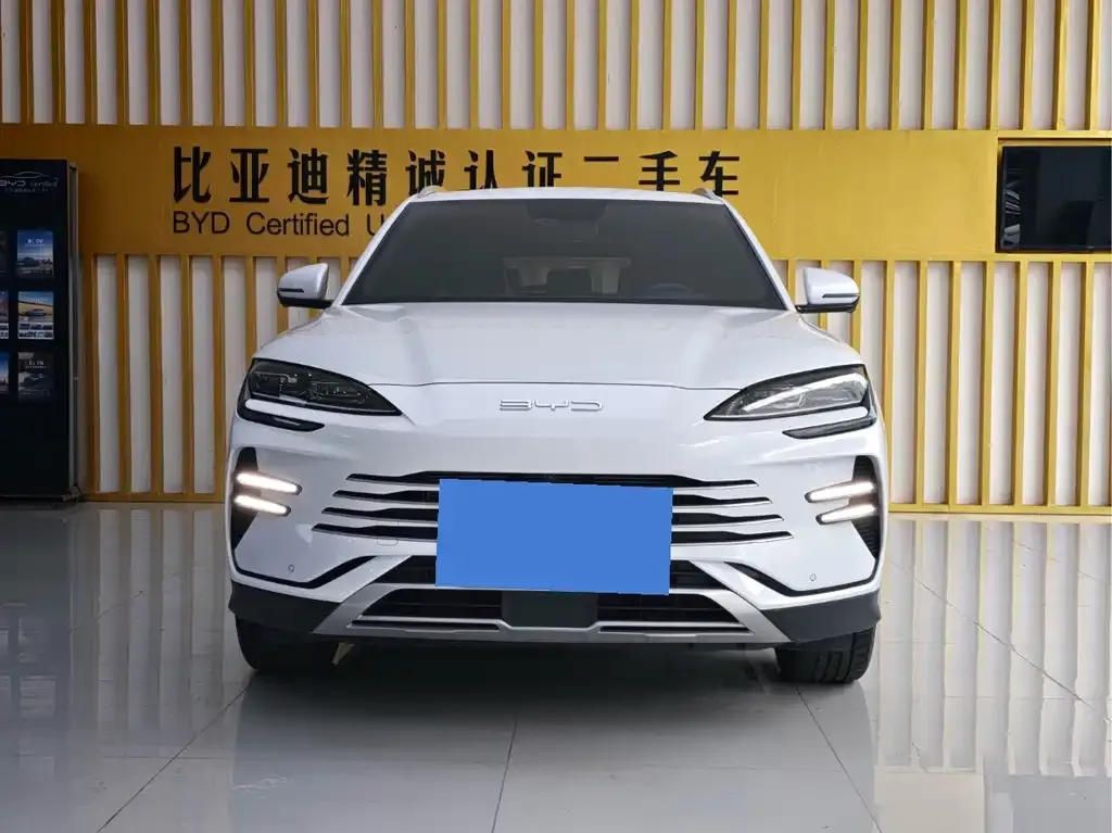 BYD PLUS New Energy — фото 3