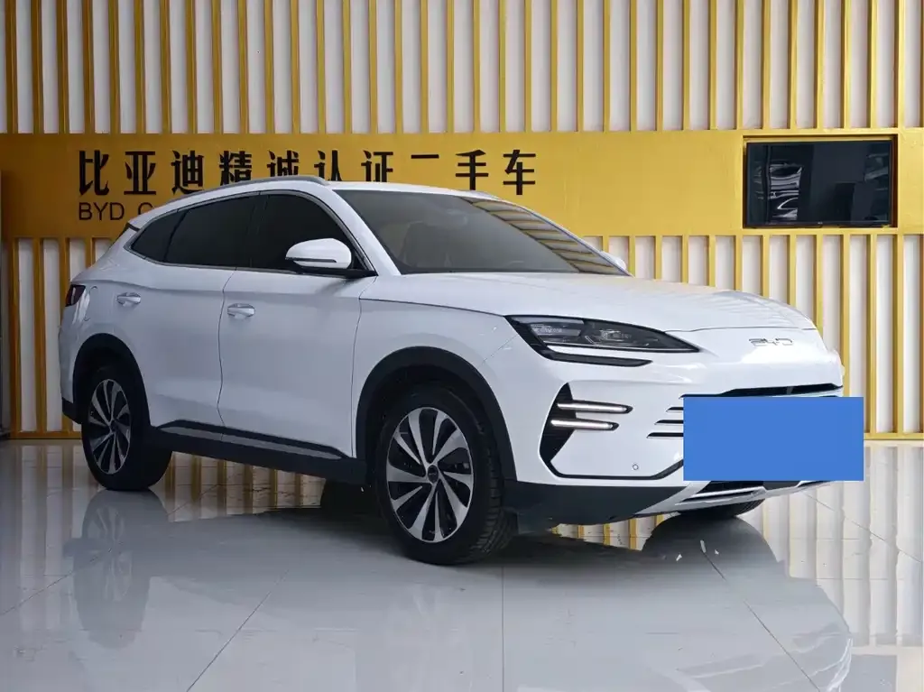 BYD PLUS New Energy — фото 2