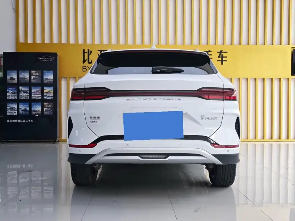 BYD PLUS New Energy — фото 6