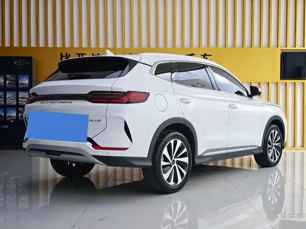 BYD PLUS New Energy — фото 9