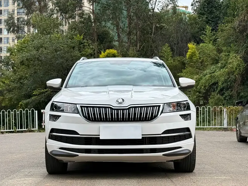 Skoda Karoq — фото 9