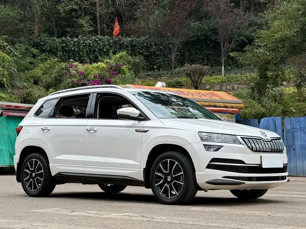 Skoda Karoq — фото 7