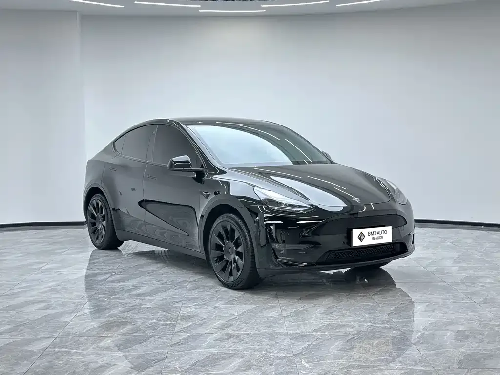 Tesla Model Y — фото 10