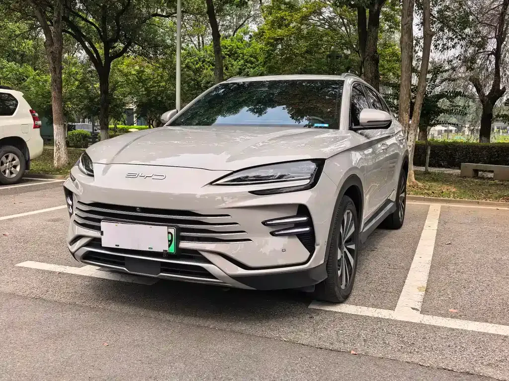 BYD PLUS New Energy — фото 1