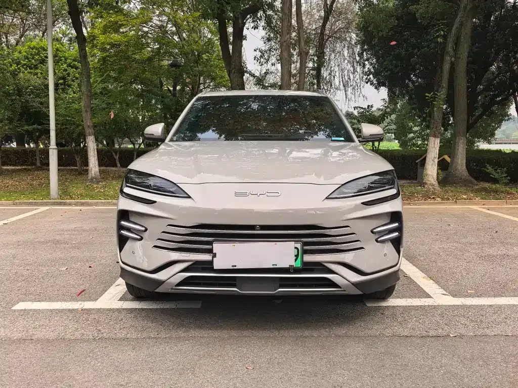 BYD PLUS New Energy — фото 10