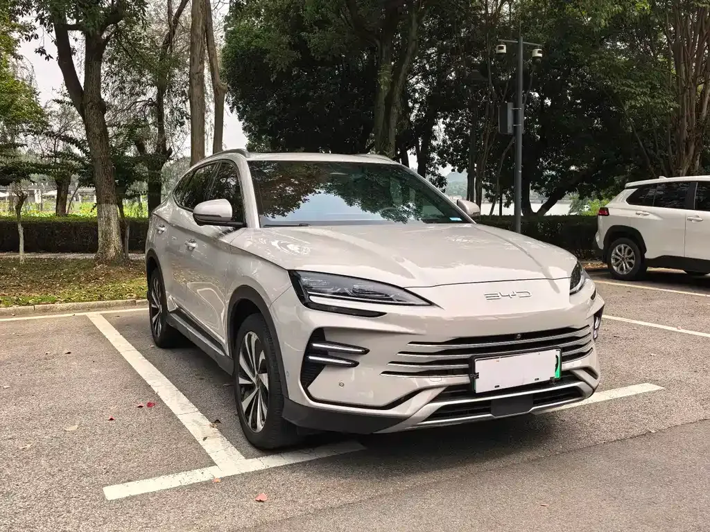 BYD PLUS New Energy — фото 6