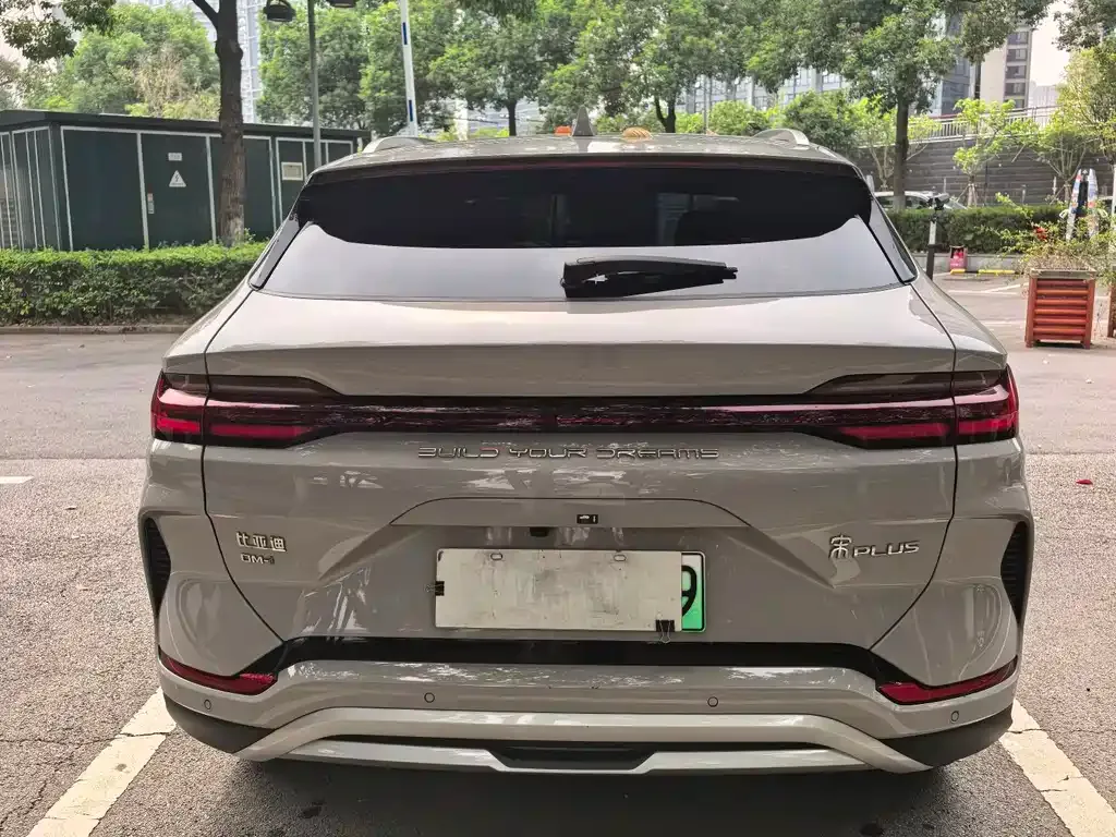 BYD PLUS New Energy — фото 4