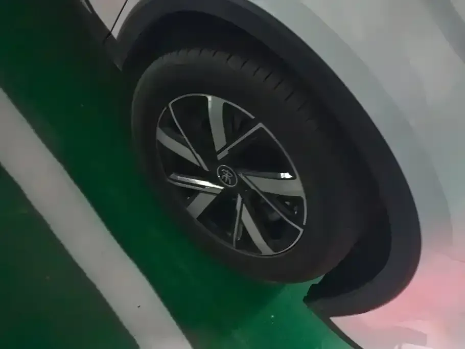 BYD Pro New Energy — фото 4