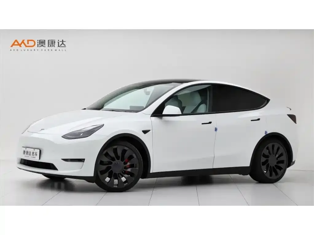 Tesla Model Y — фото 1