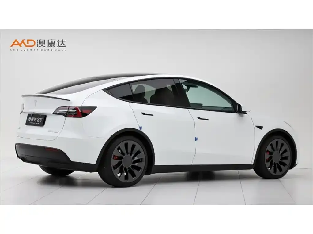 Tesla Model Y — фото 8