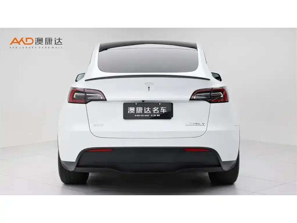 Tesla Model Y — фото 2
