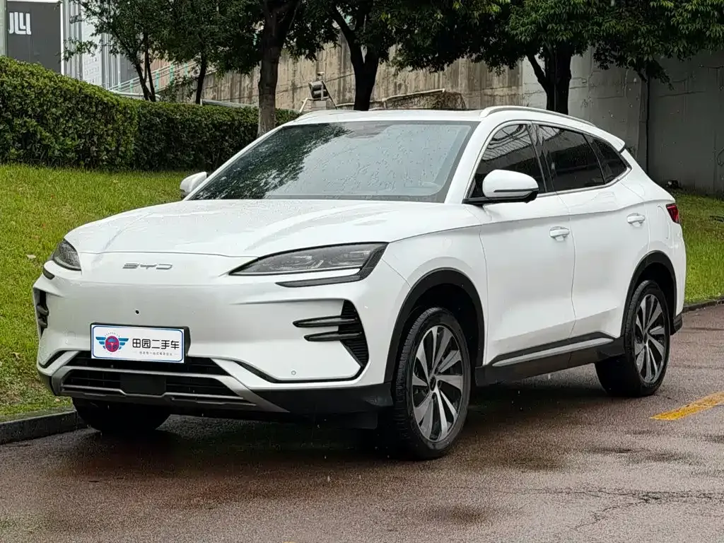 BYD PLUS New Energy — фото 1