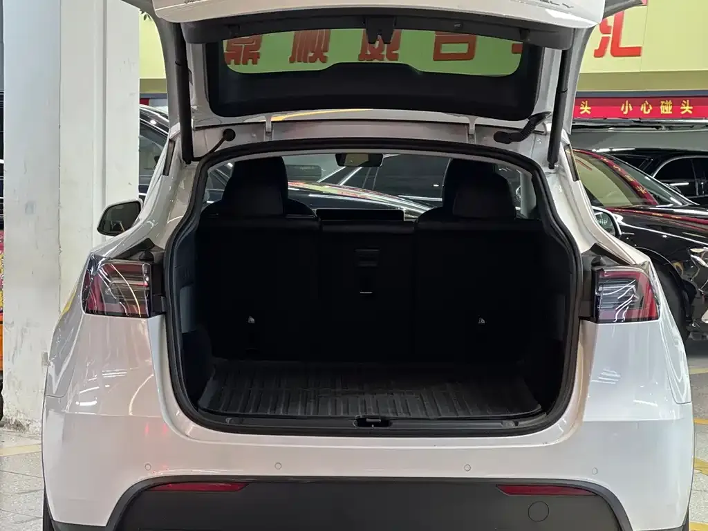 Tesla Model Y — фото 8
