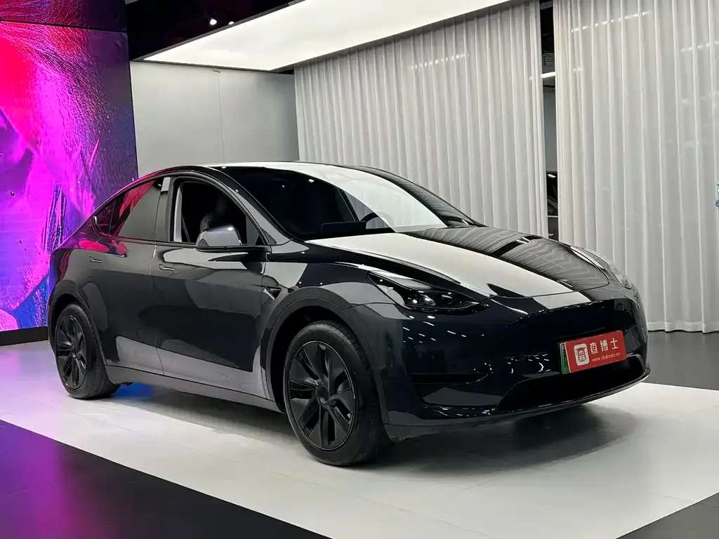 Tesla Model Y — фото 10