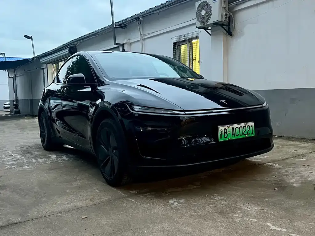 Tesla Model Y — фото 7