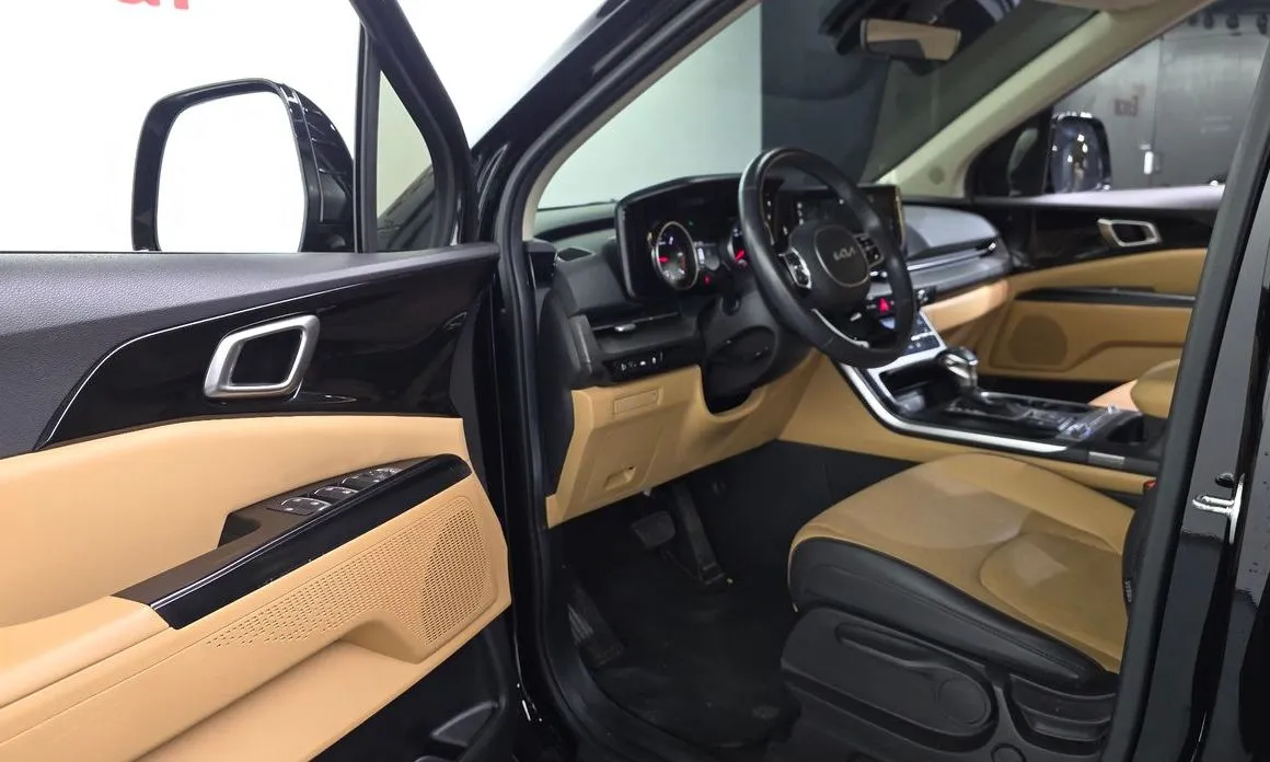 Kia Carnival — фото 10