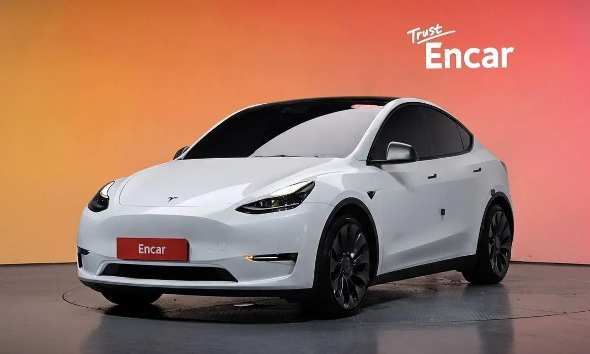 Tesla Model Y — фото 1