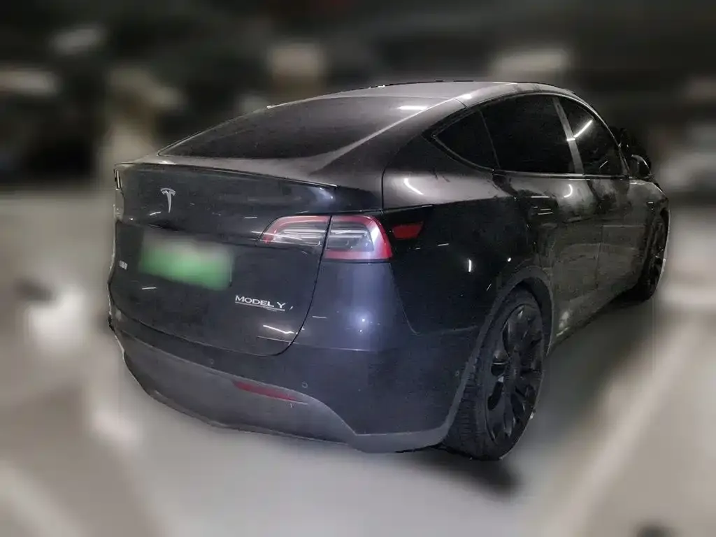 Tesla Model Y — фото 8